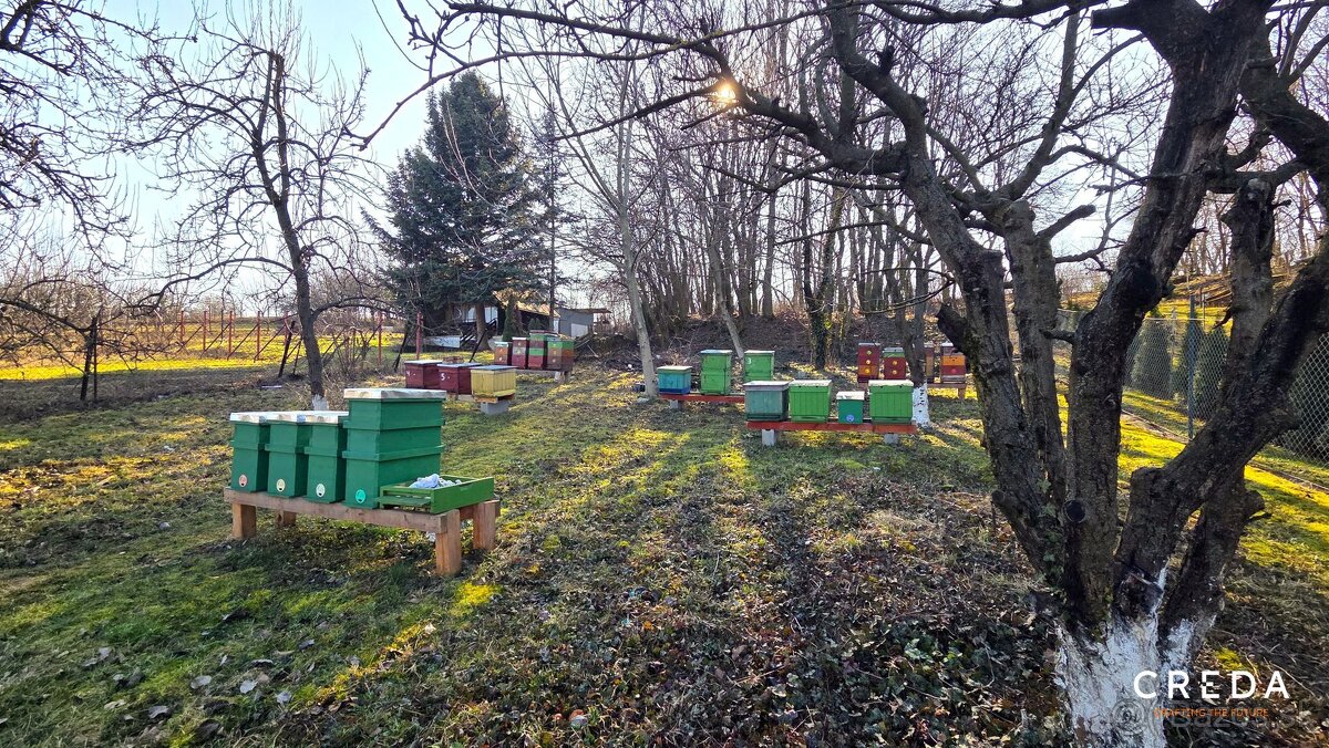 CREDA | predaj pozemok 2 478 m2, Veľký Lapáš - 3