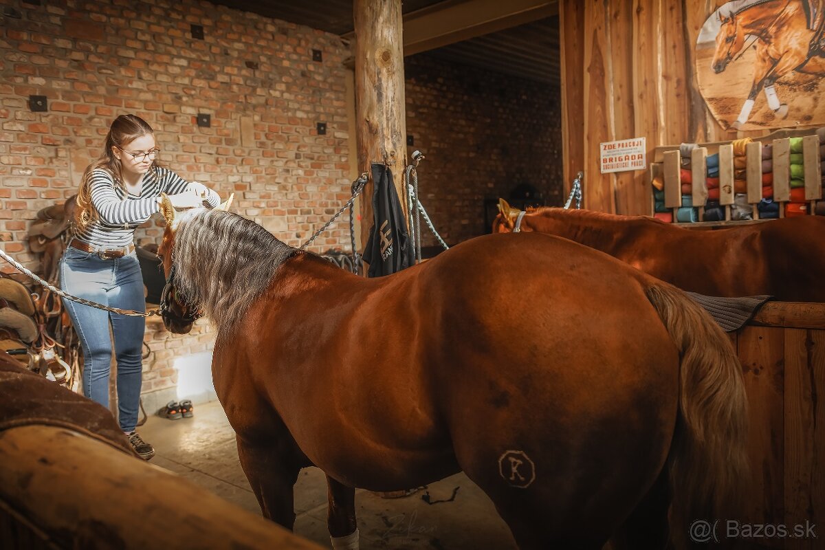 Ustajnenie Ranch 13 - 3