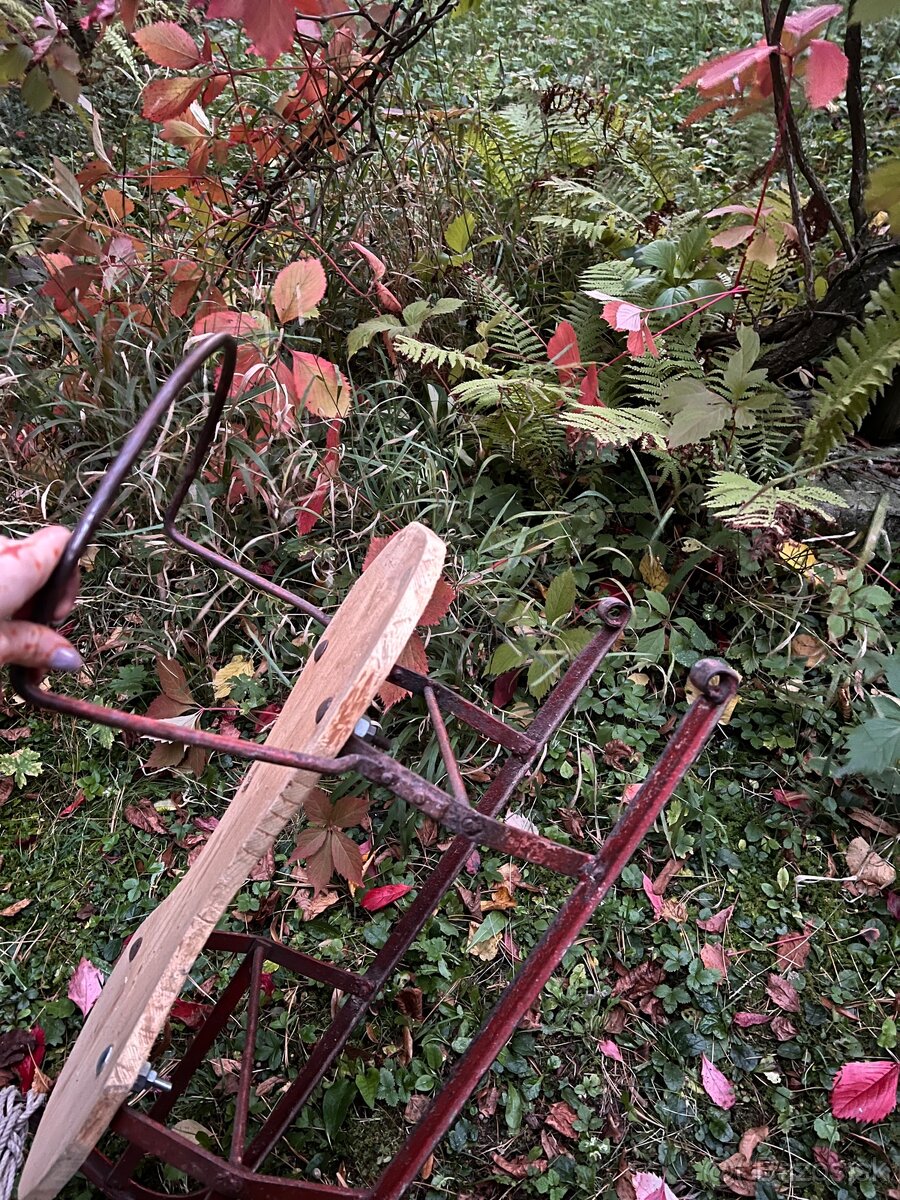 Historické sánky - 3