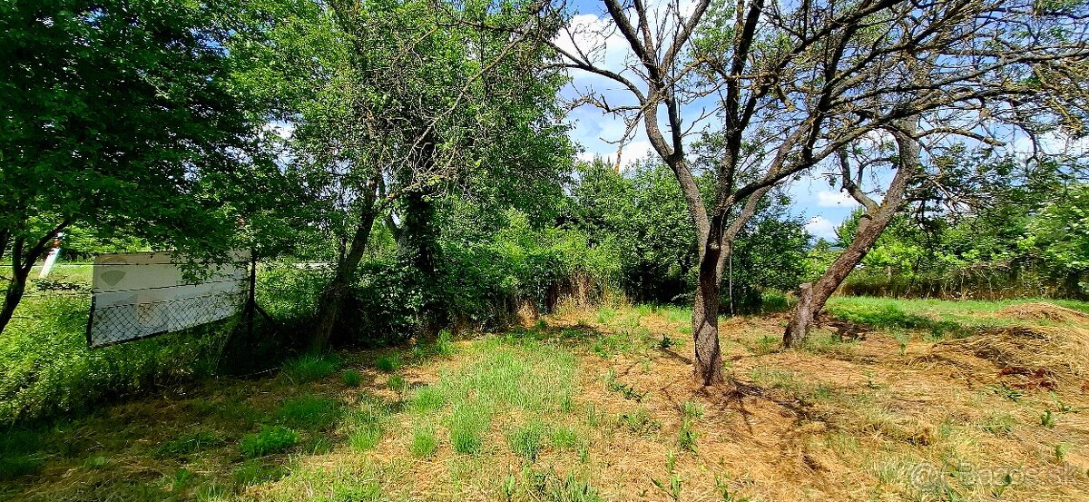 Záhradka v Novom Meste nad Váhom - 3