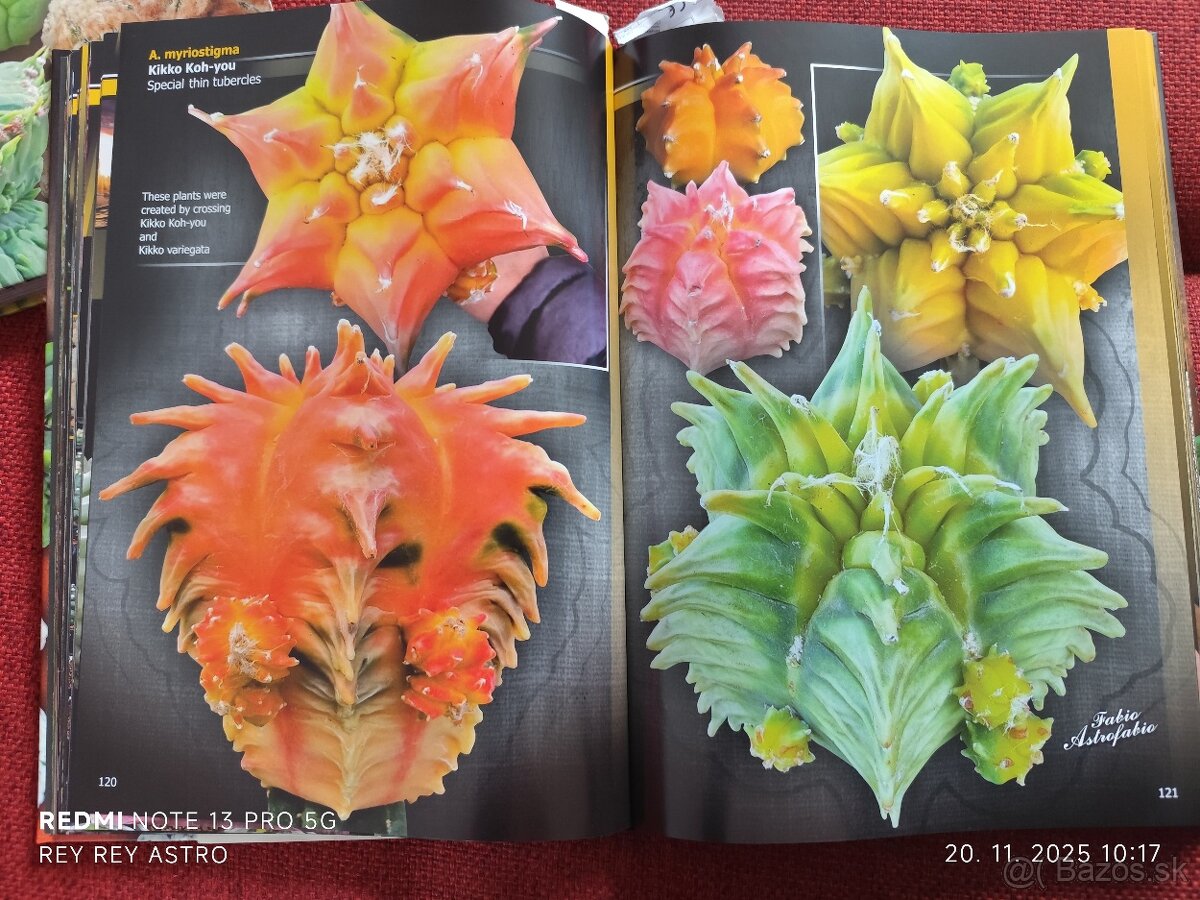 Ponúkam úžasnú knihy o kaktusoch. - 3