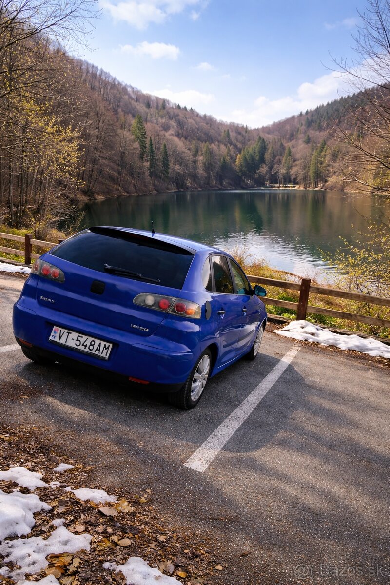 Seat Ibiza III 6L - 3