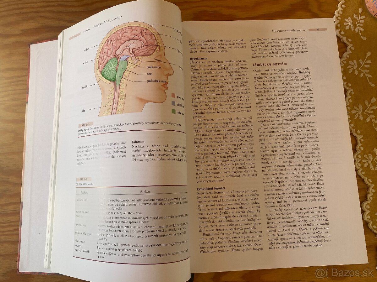 Rita L. Atkinson - Psychologie - 3