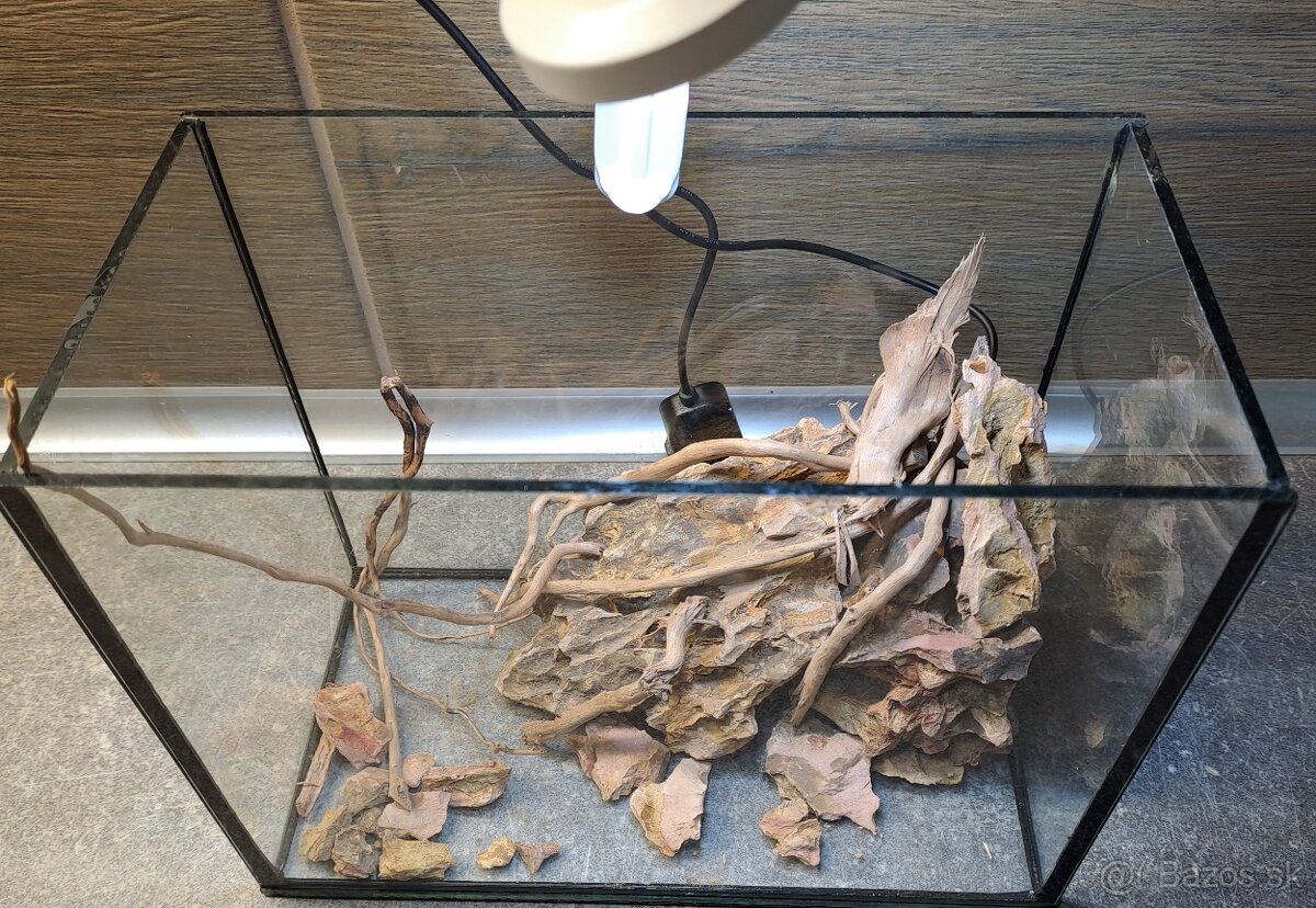 Predam akvarium 6litrov - 3