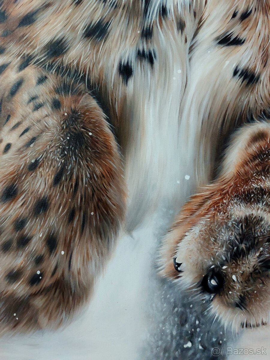 Hyperrealistická akrylová maľba / obraz Tatranský tiger - 3