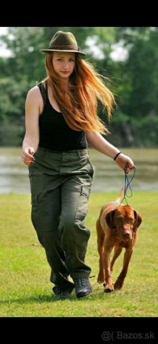 Maďarská vyžla na krytie - 3