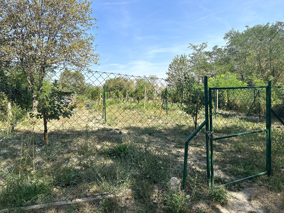 Pozemok 3563 m2 v krásnom a tichom prostredí hneď pod lesom - 3