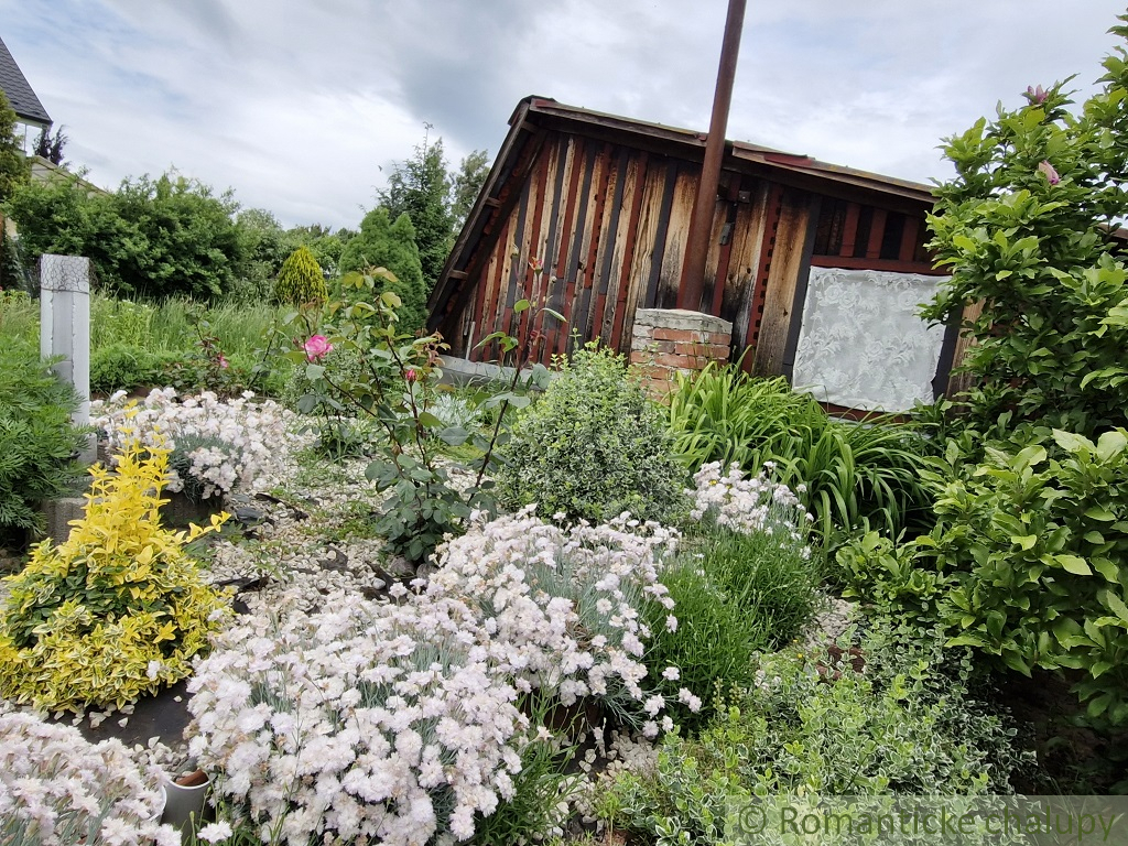 Záhrada s chatkou na Strážnom vrchu - 3