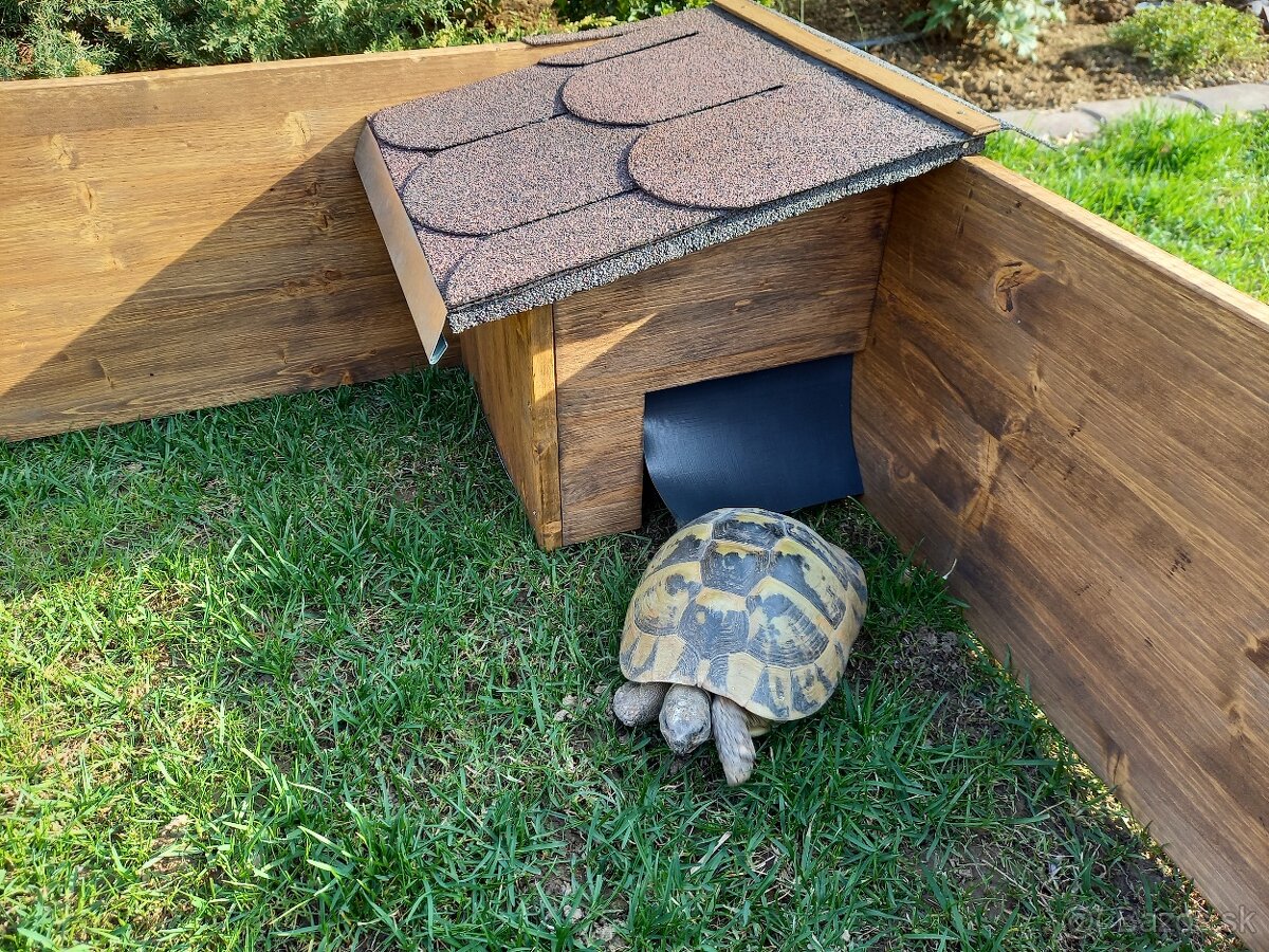 Vonkajší, výbeh, korytnačky.. - 3