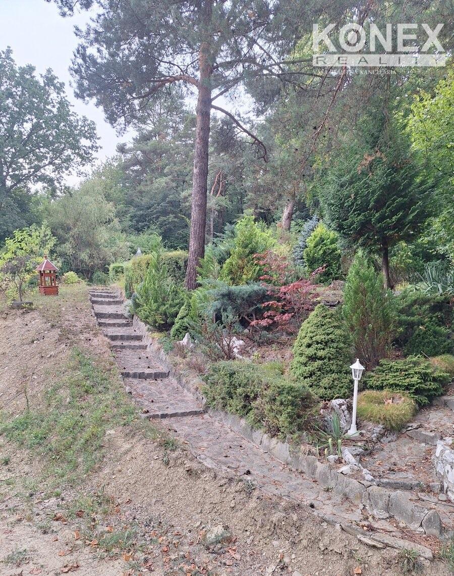 Fotografia 3