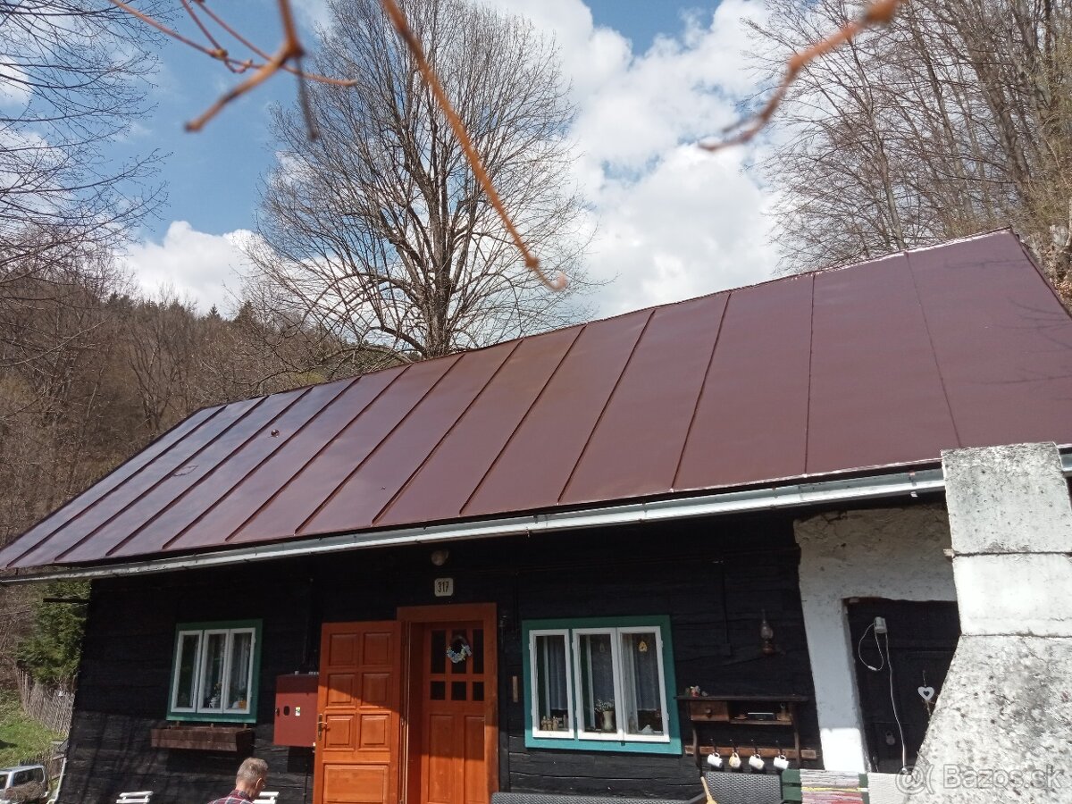 🟢✅MAĽOVANIE STRECH 🟢✅NATERANIE /ZARUKA NA PRACU 🟢✅ - 3