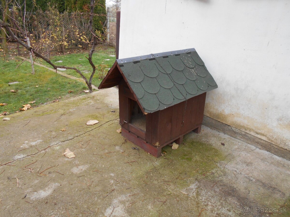 Búda pre psa - 3