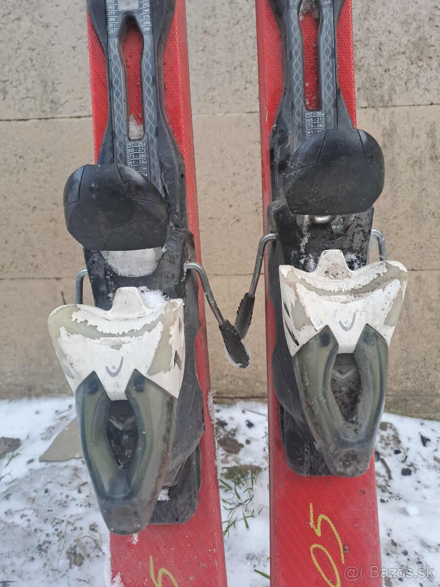 Lyže - 3