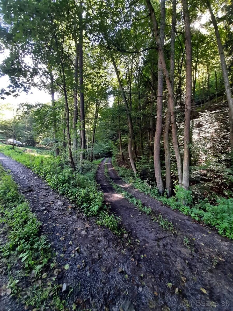 Predám pozemok pri lese Banská Hodruša - 3