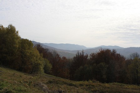 Pozemky - podiely - Veľká Poľana - 3