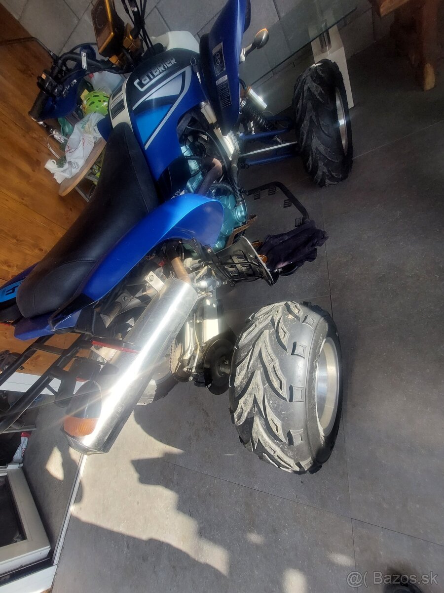 Bashan 250