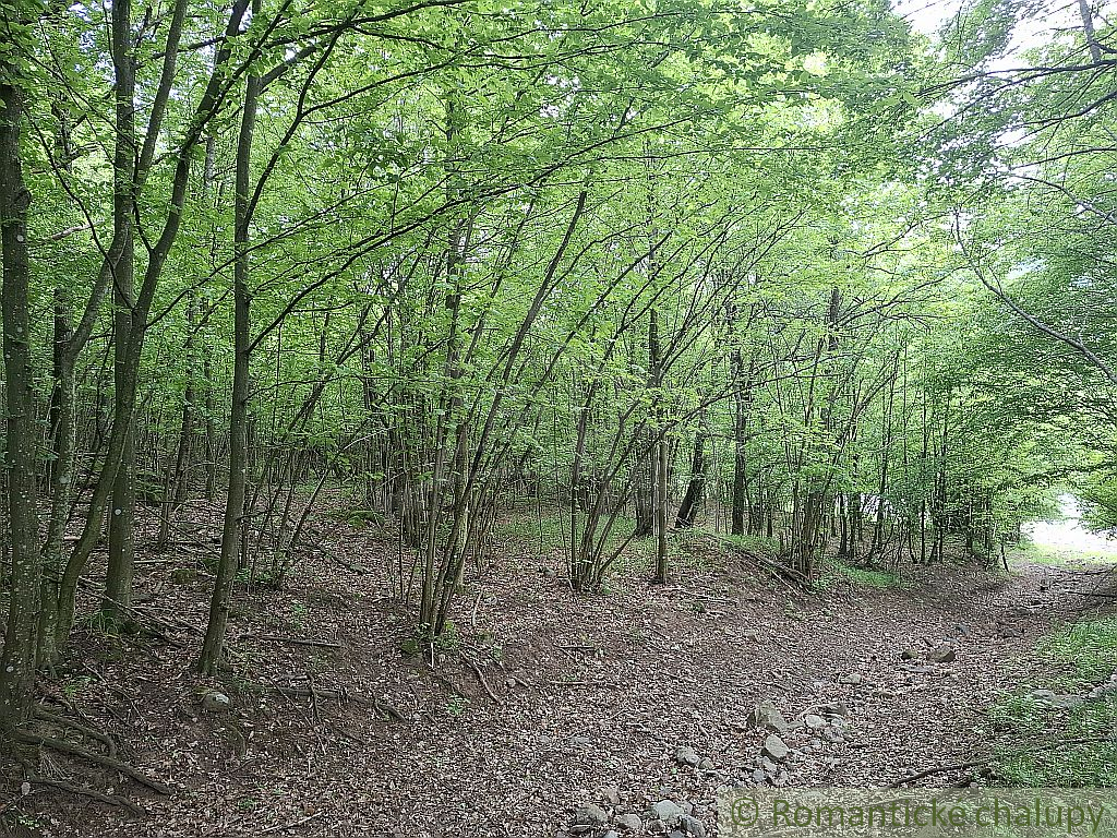 NOVÁ CENA Rozsiahle lesné pozemky v Podpoľaní - 3