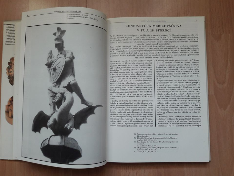 Medikováčstvo - E. Toranová - 3