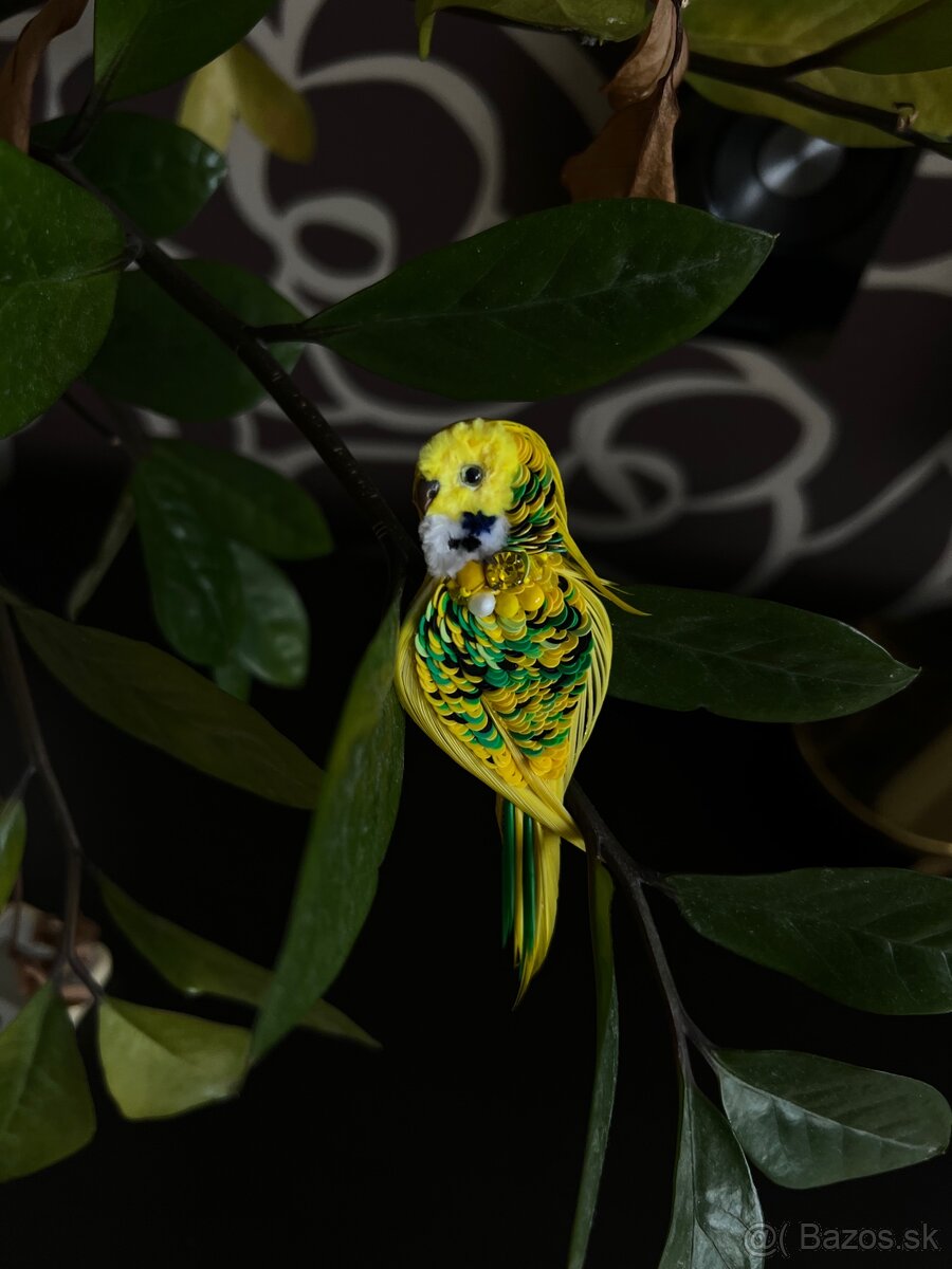 brosña papagáj - 3