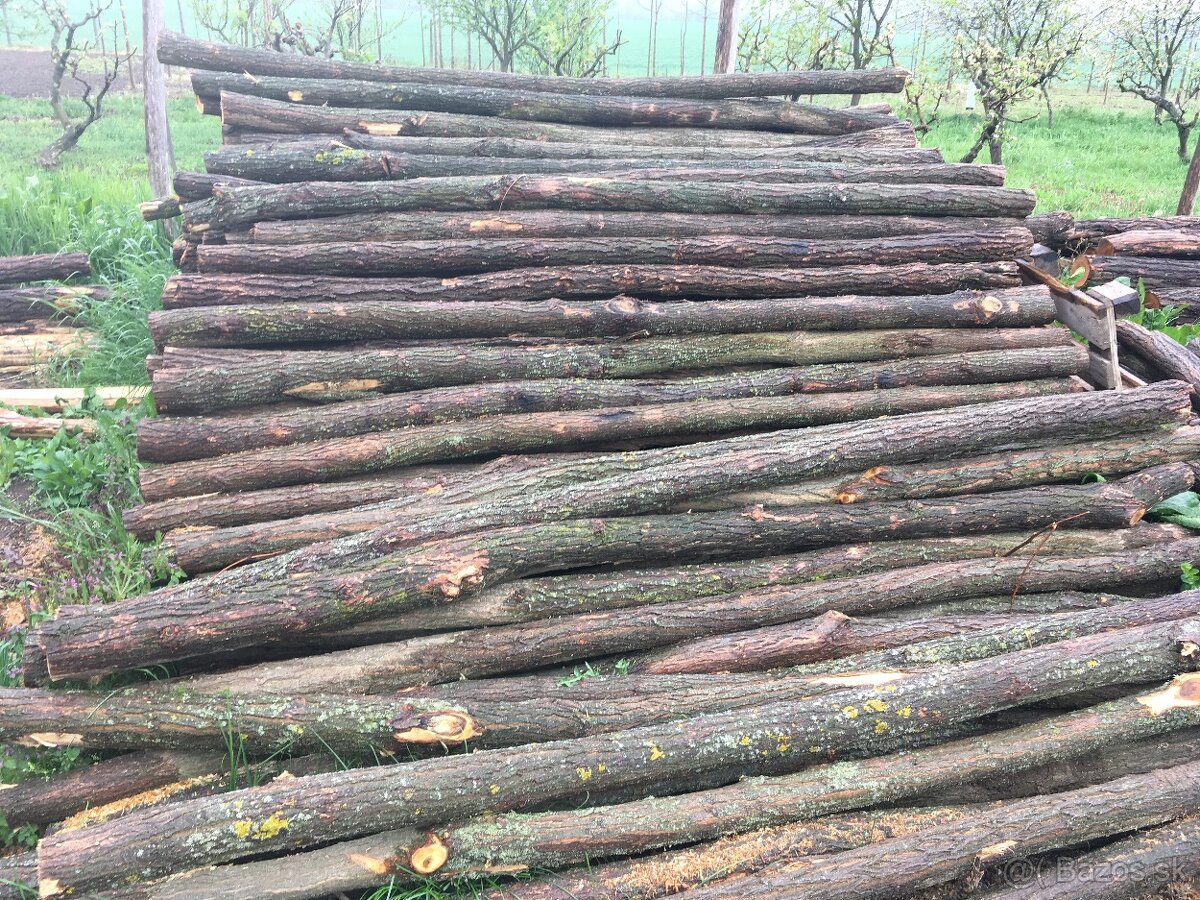 Predám agátové koly,stĺpy,rezivo,dosky. Doprava celá SR. - 3