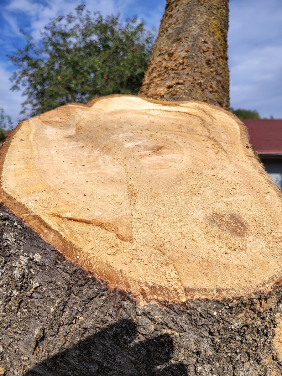 Čerešňove drevo - 3