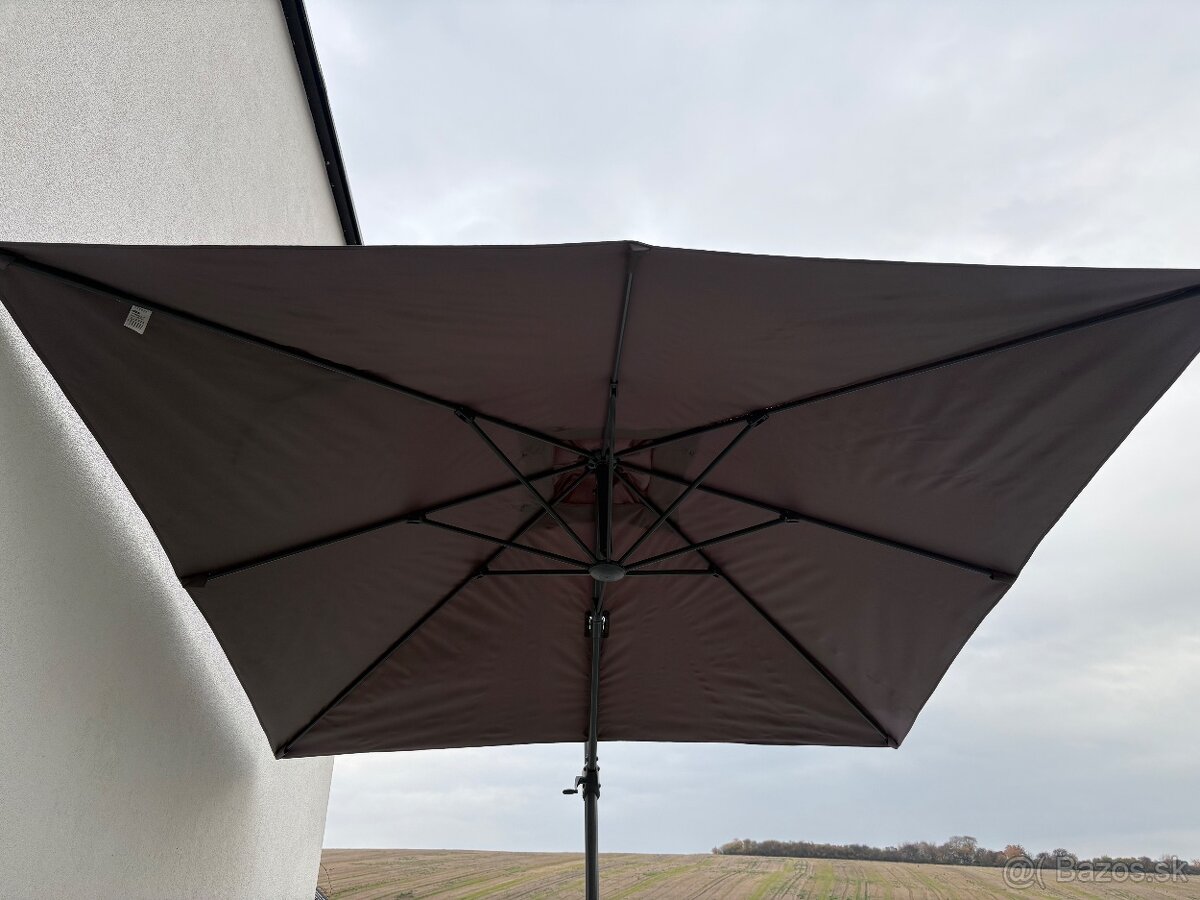 Slnecnik na terasu - 3