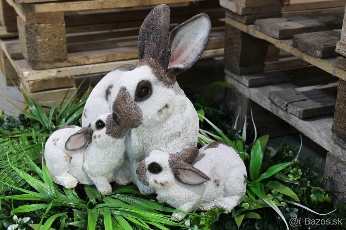 Záhradné zajačiky - 3