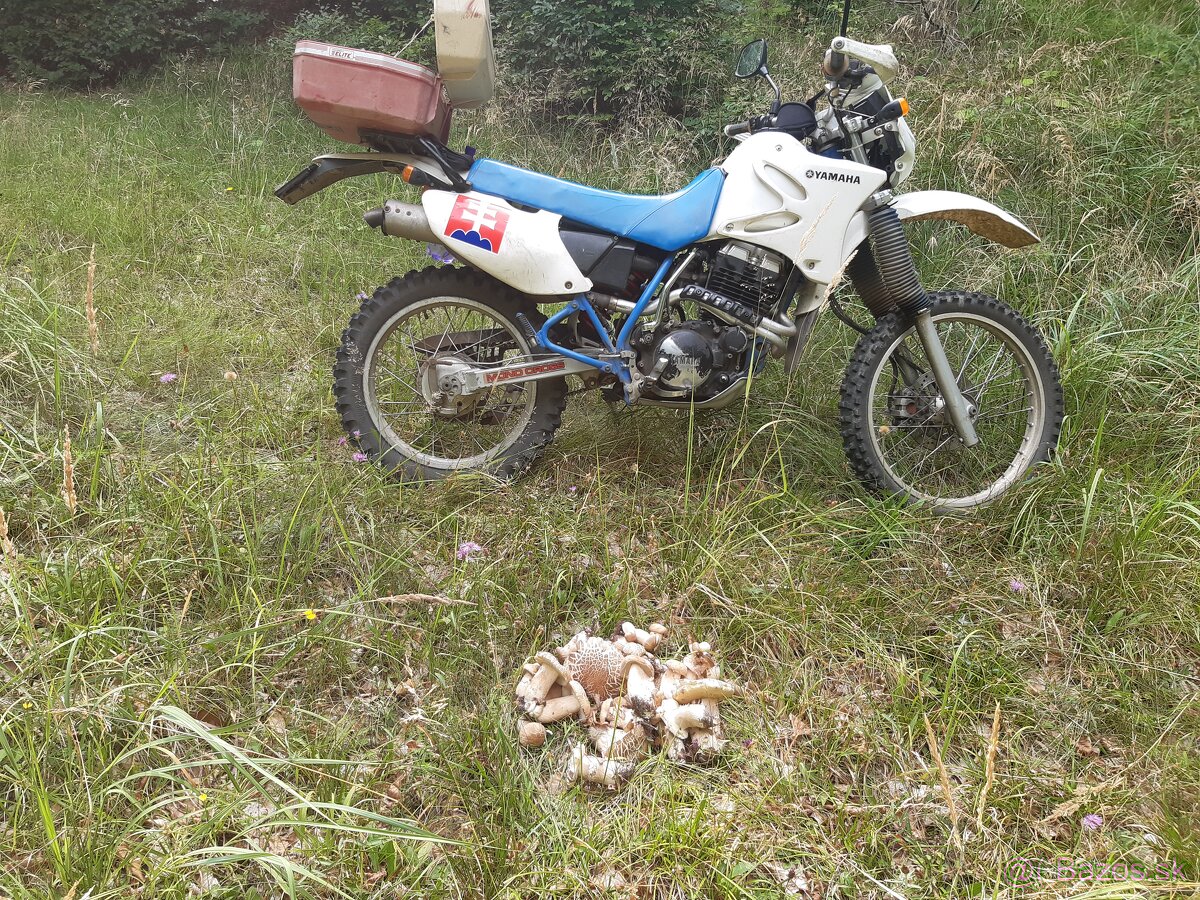 Yamaha 350 xt