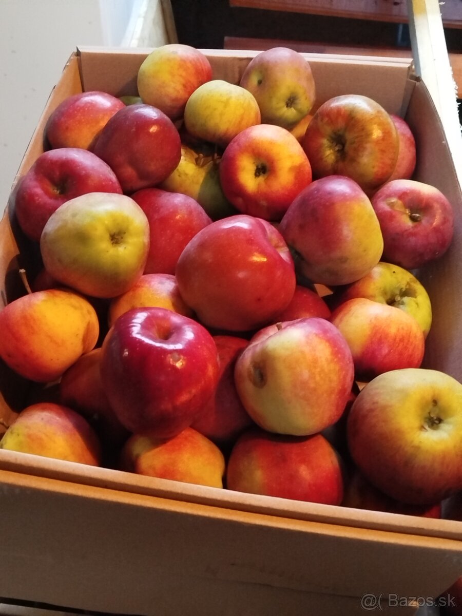 Oberané jablká - 3