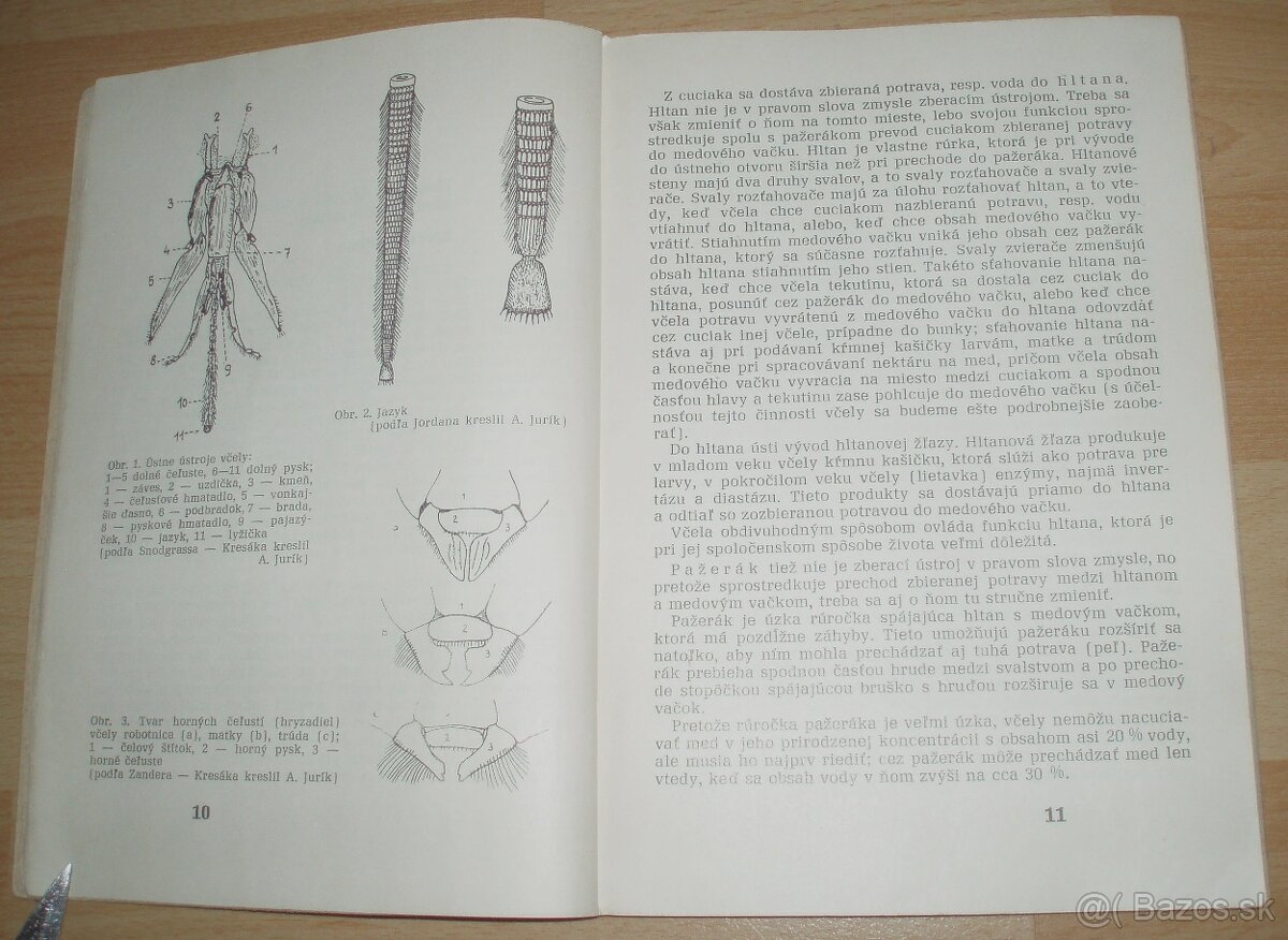 Výživa a kŕmenie včelstiev - 3