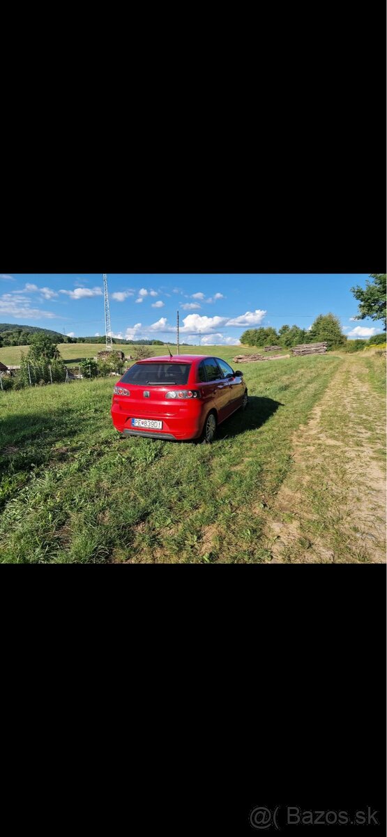 Seat ibiza - 3