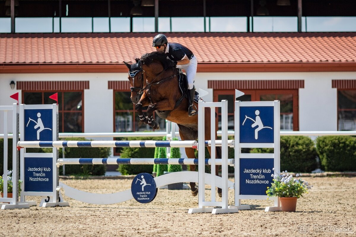 Kobyla do športu - 3