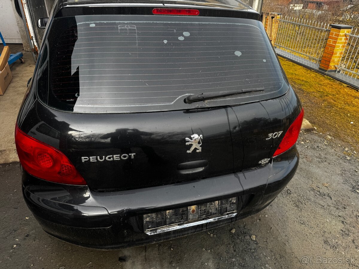 Rozpredam Peugeot 307 - 3
