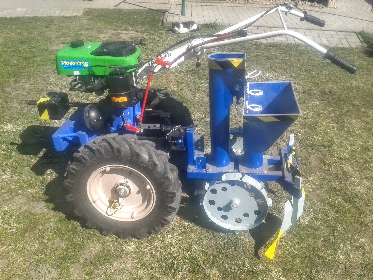 Tera, Vari ,Agzat -zapožičanie sadič zemiakov. - 3