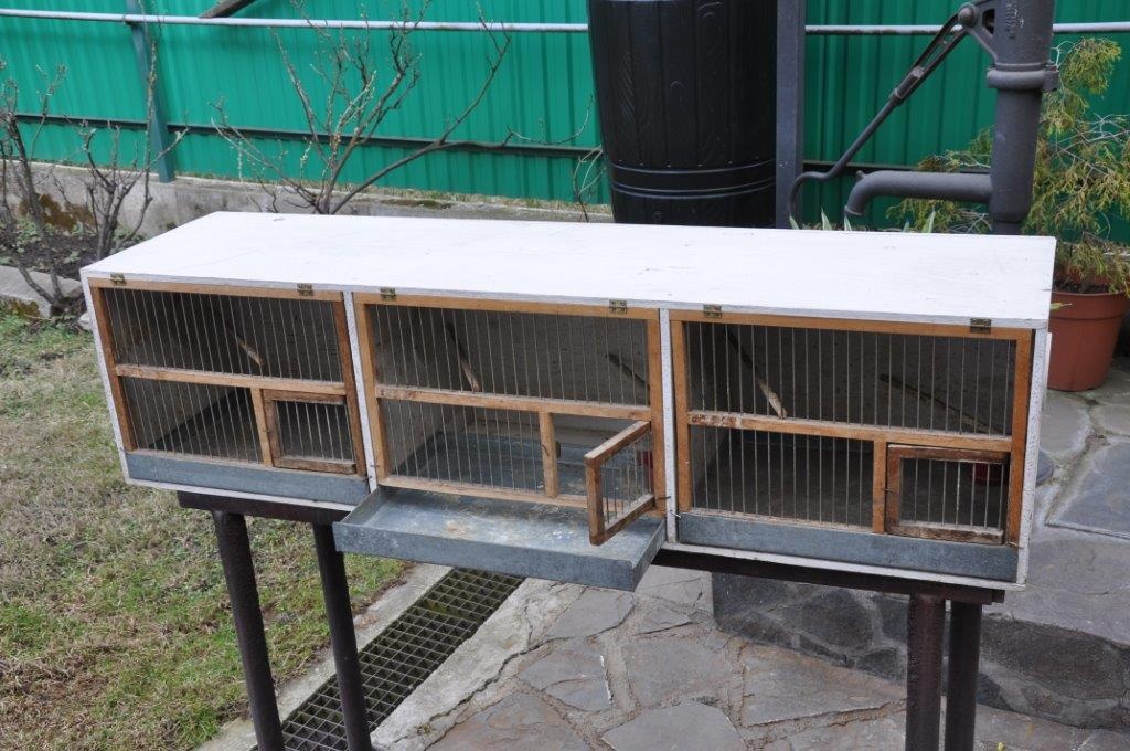 klietky pre vtákov - 3