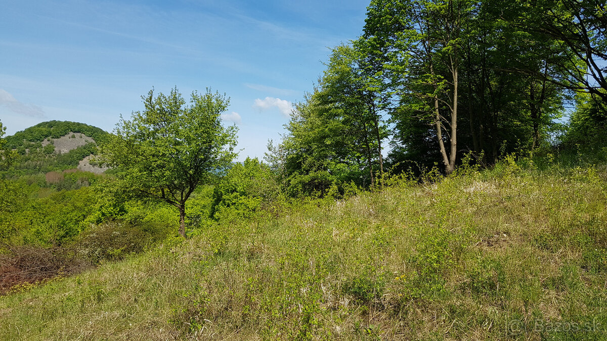 Predám pozemok vo Vyhniach + stavebné povolenie na chatu. - 3
