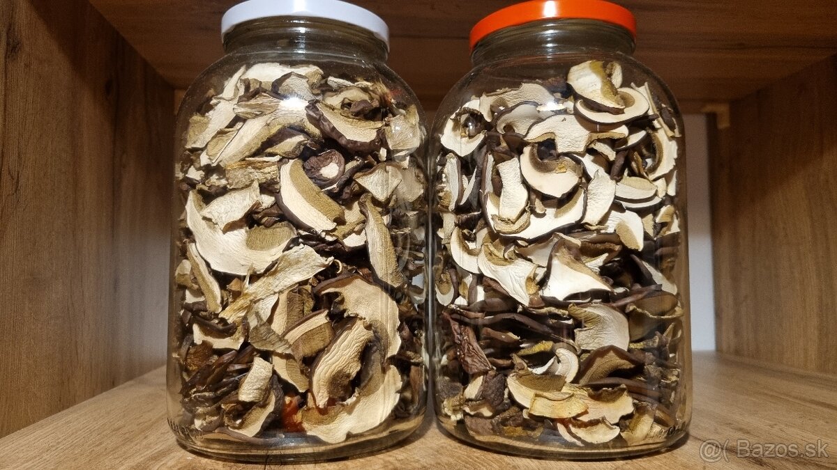 Sušené hríby/huby - 3