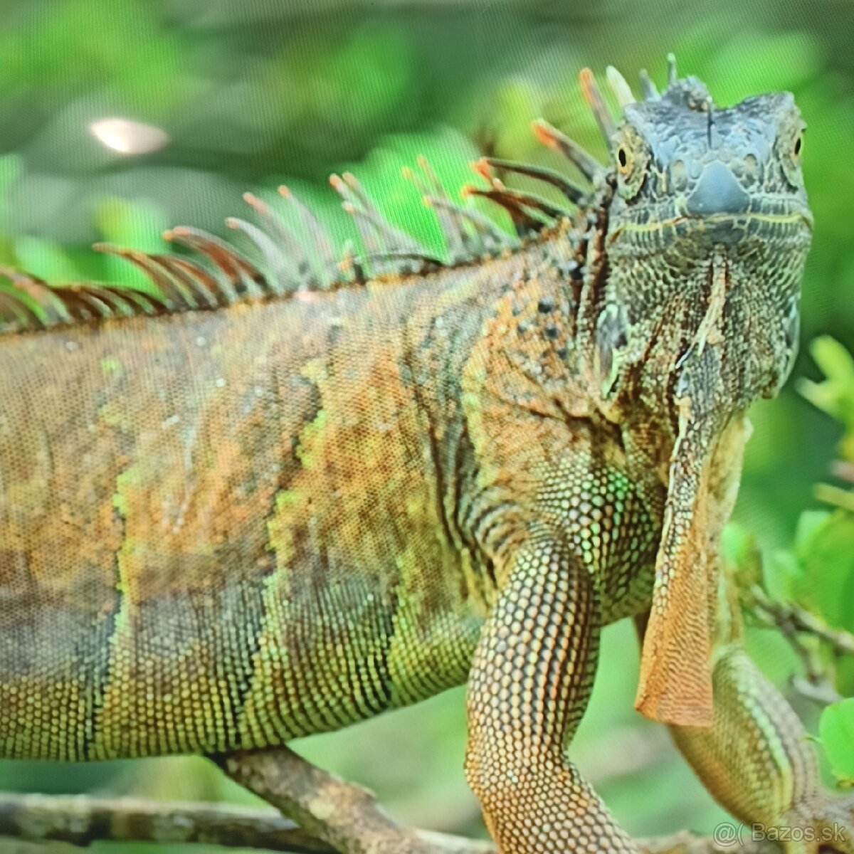 Samsung led tv (165cm)UE65CU7172U - 3