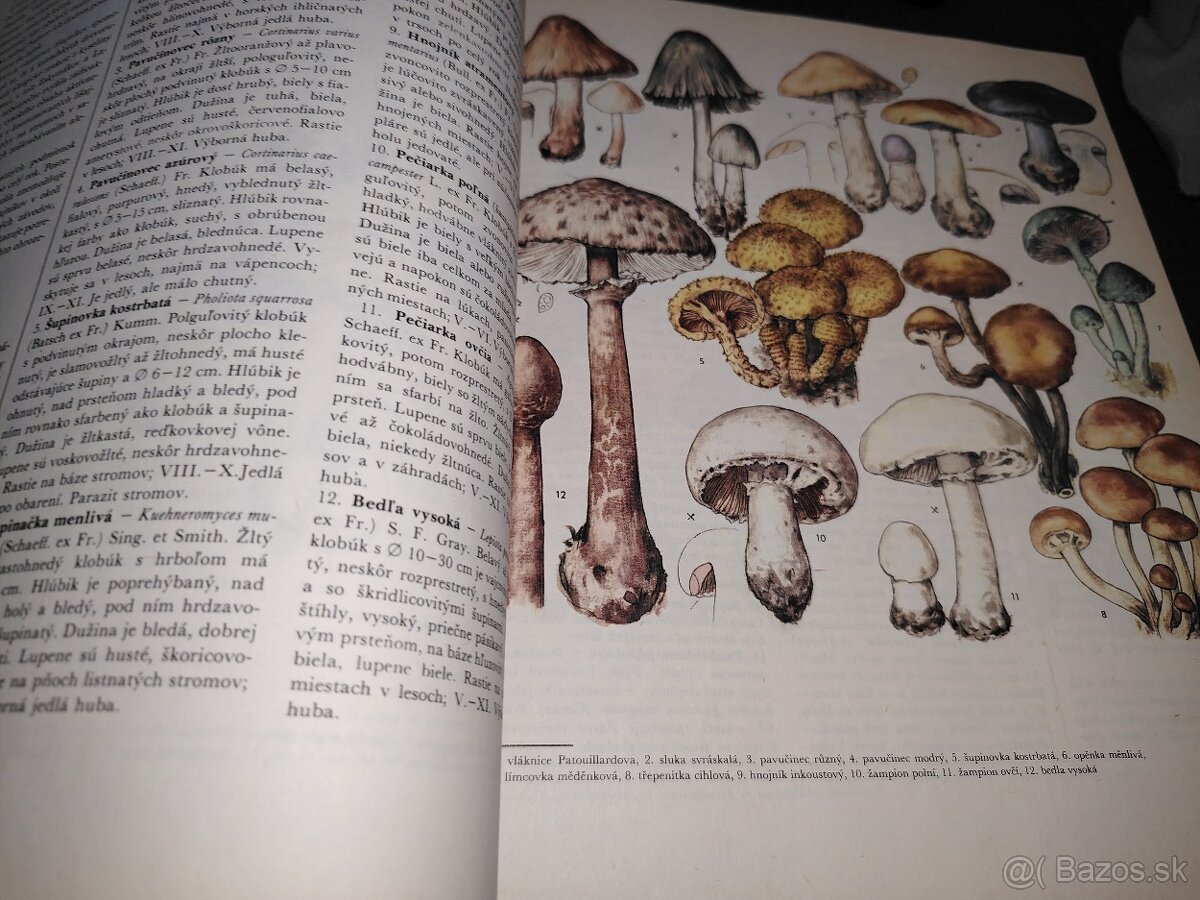 Z našej prírody - 3