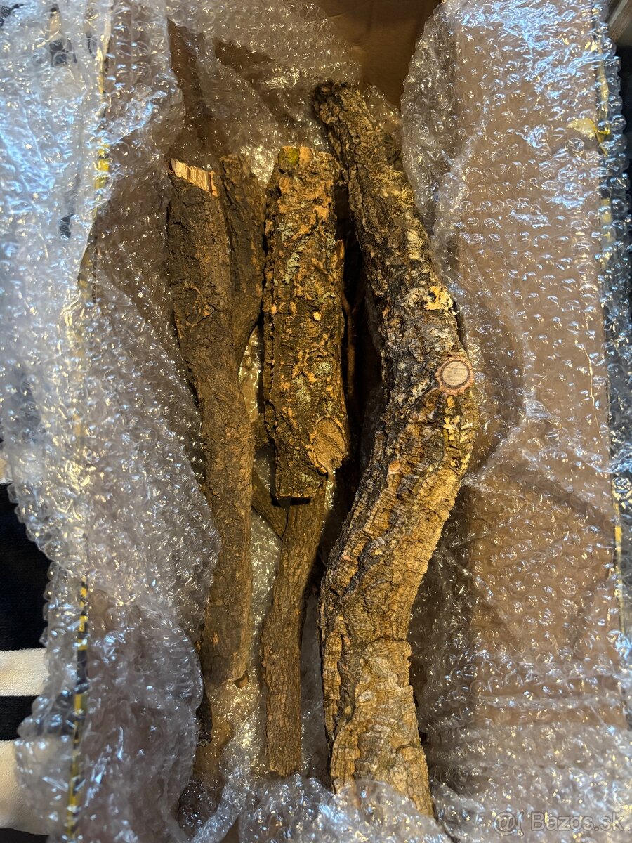 Terárium Repti Planet - 3