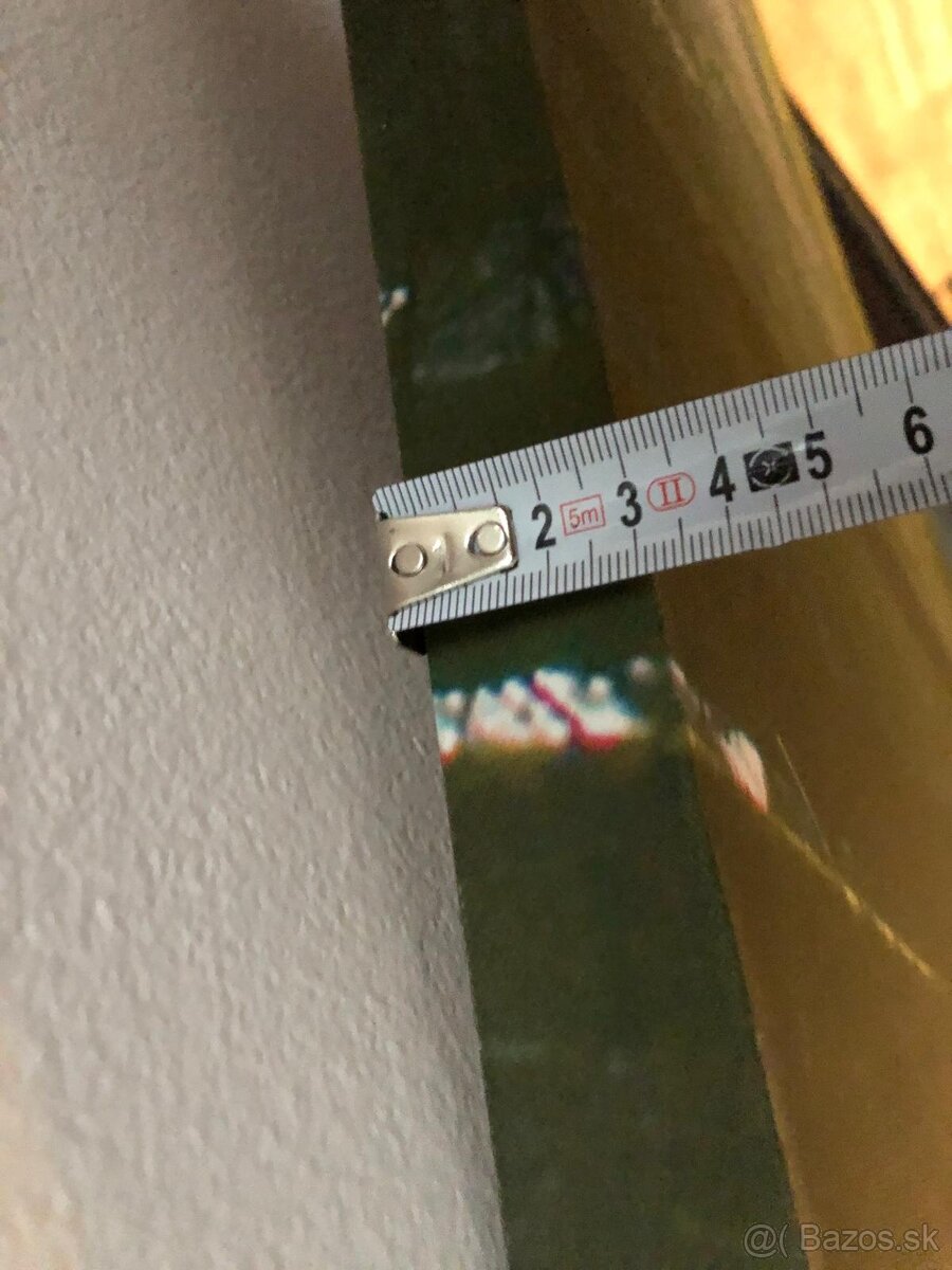 obraz na plátne - stromy - 3