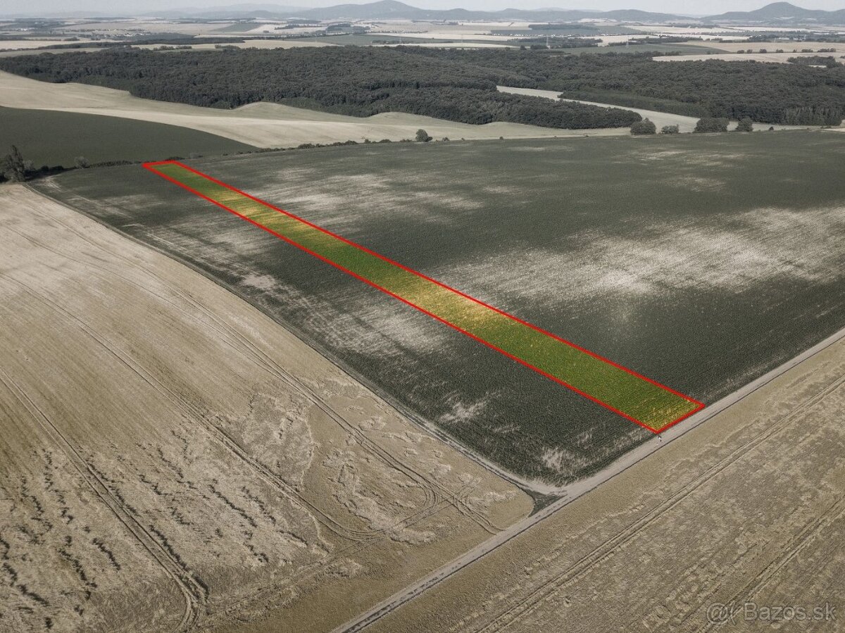 Pastuchov (Hlohovec) - 9.956 m2 ORNÁ PÔDA v komasácii - 3