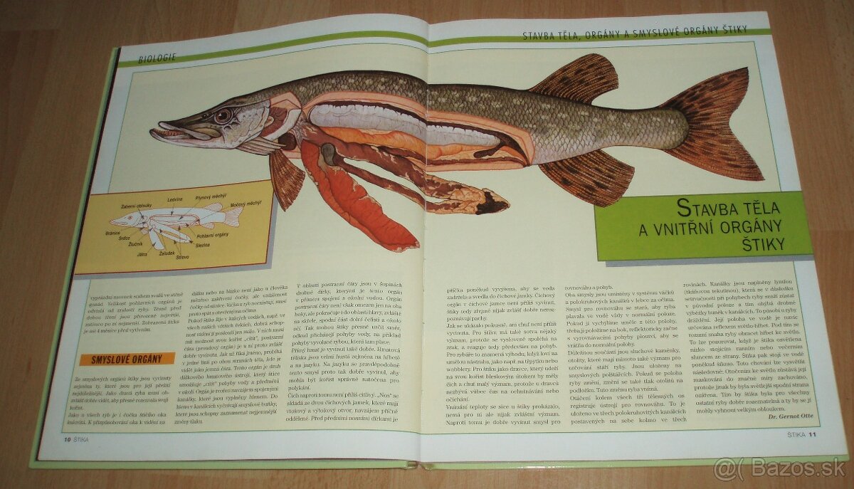 Štika – Kniha časopisu Blinker - 3