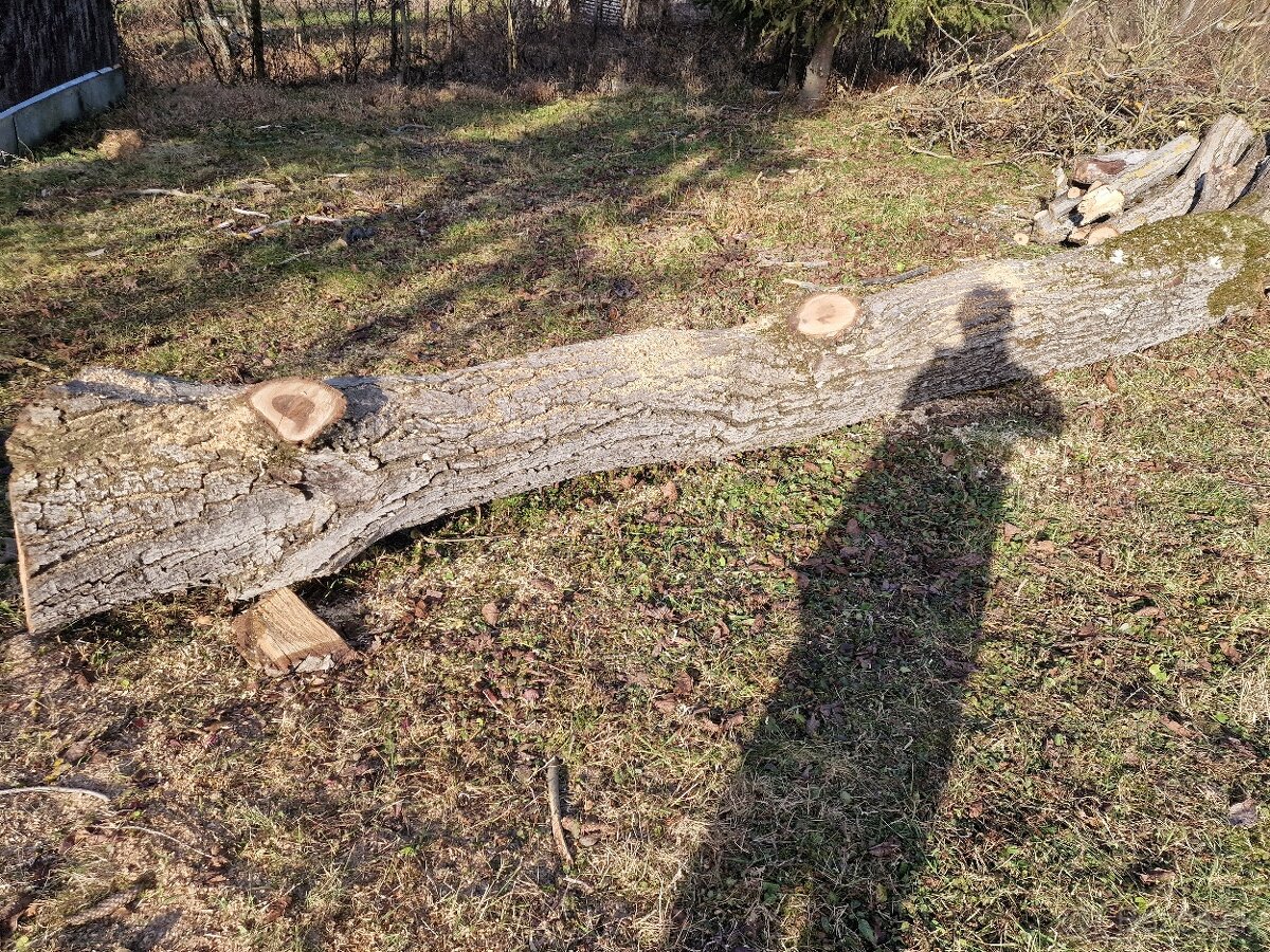 Predam orechové drevo - 3