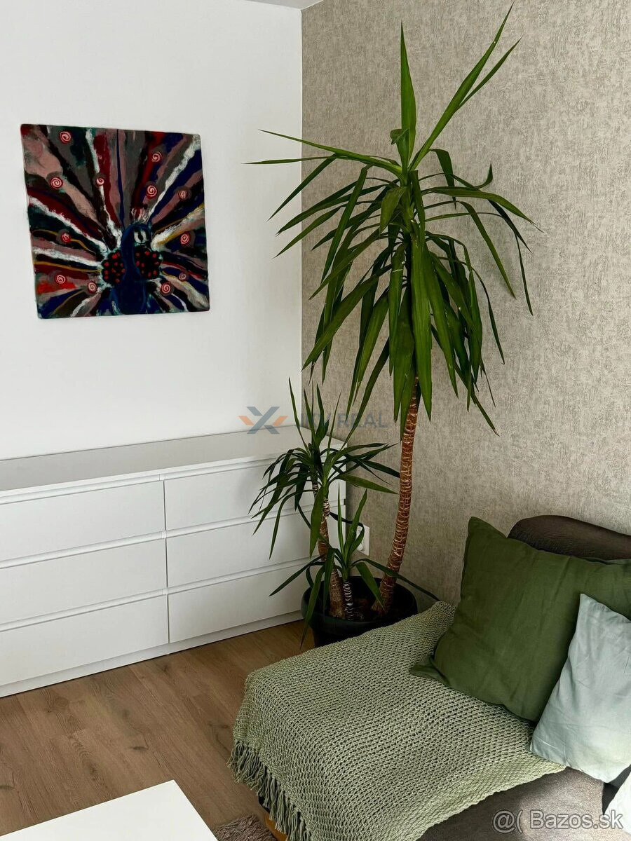 Na prenájom 2-izbovy krásny byt s rezidenčným parkovaním - 3