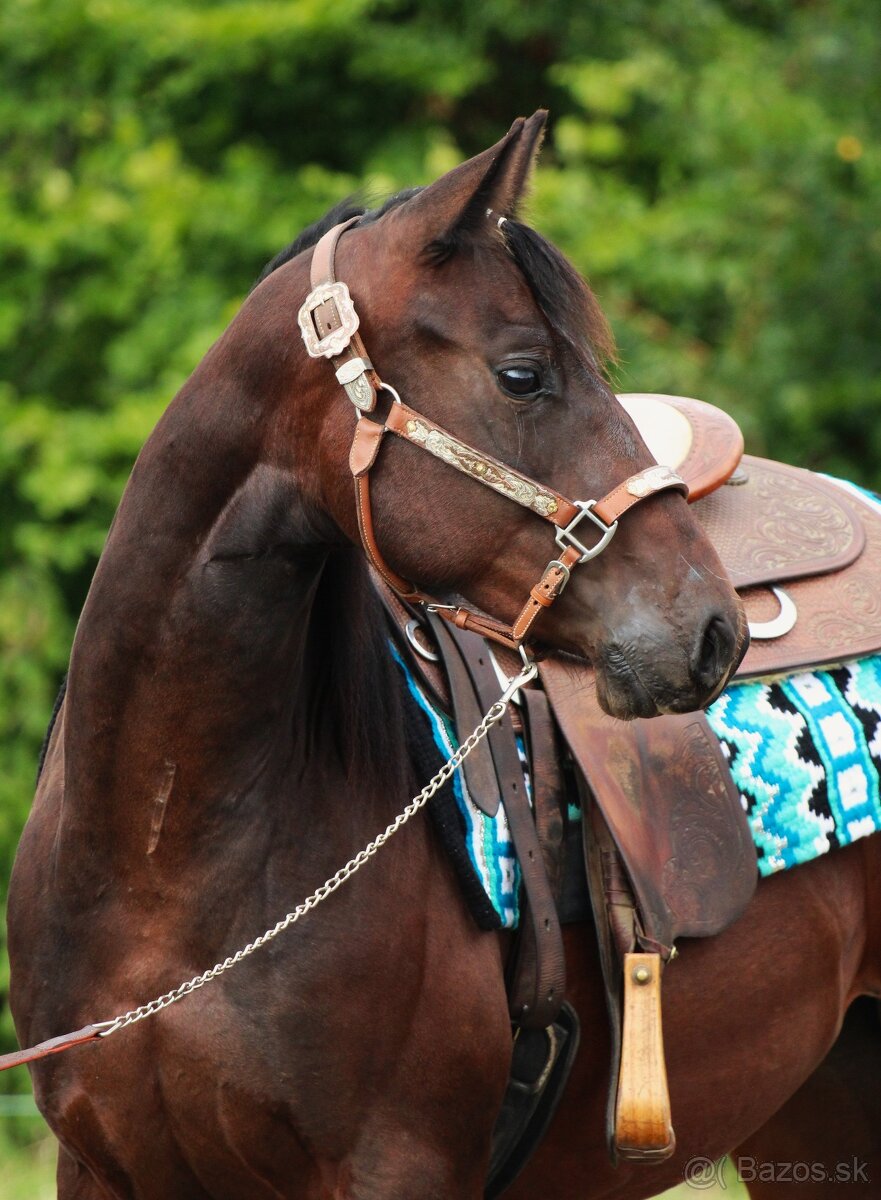 Na prodej: BR Electric Spook - 3