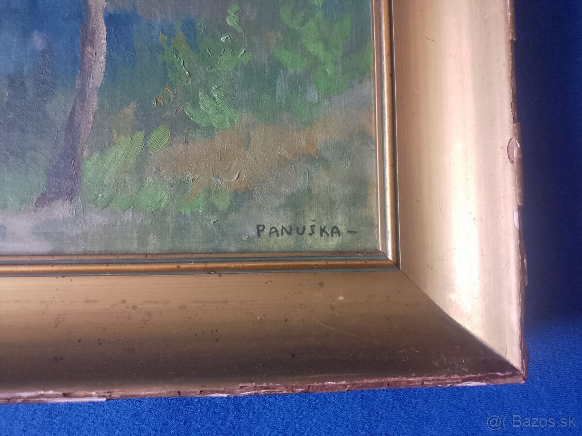 Obraz hory Panuška - 3