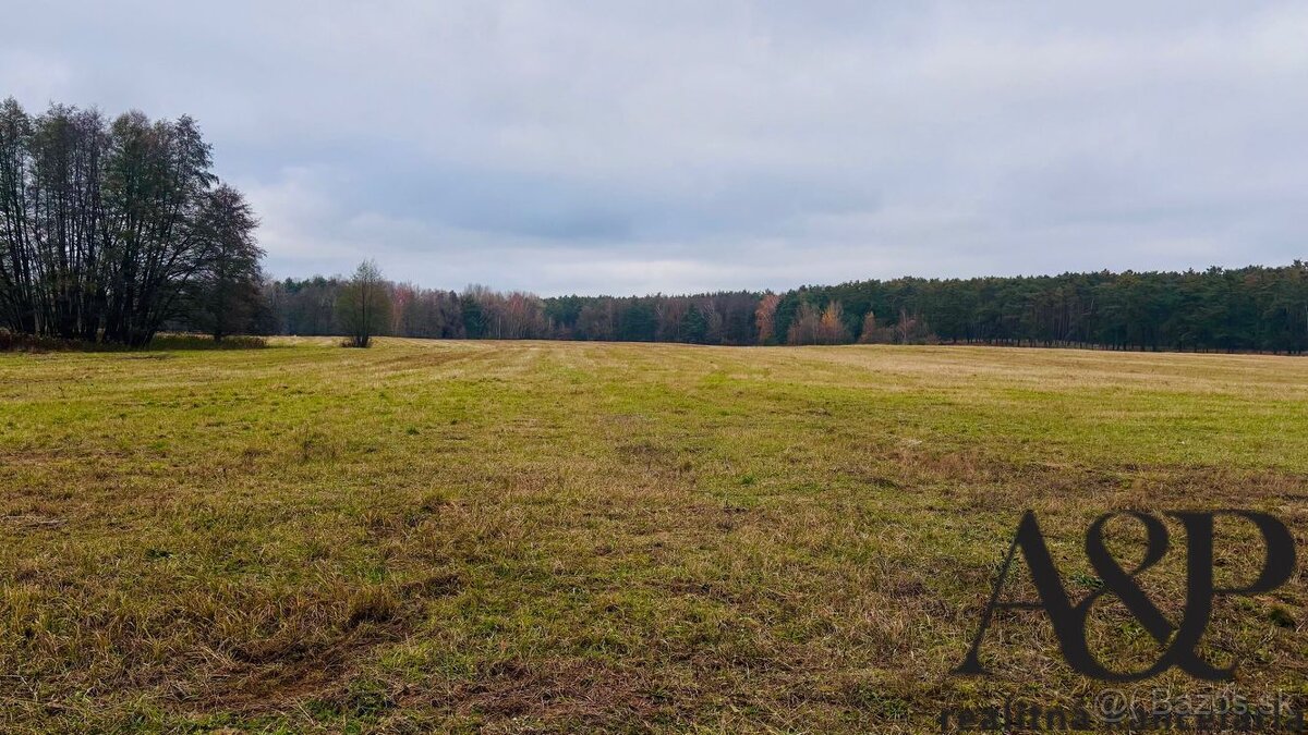 NA PREDAJ ROZĽAHLÝ POZEMOK, 246621 M2, LAKŠÁRSKA NOVÁ VES, o - 3