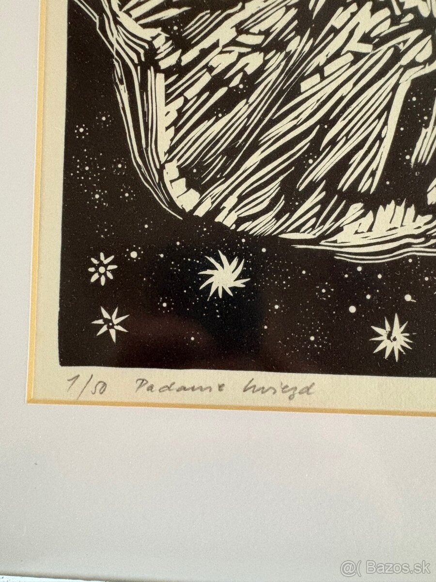 Emil Bačik - Padanie hviezd - 3