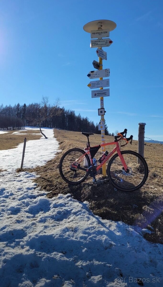 Specialized Diverge Vel. 56(L) GRX - 3